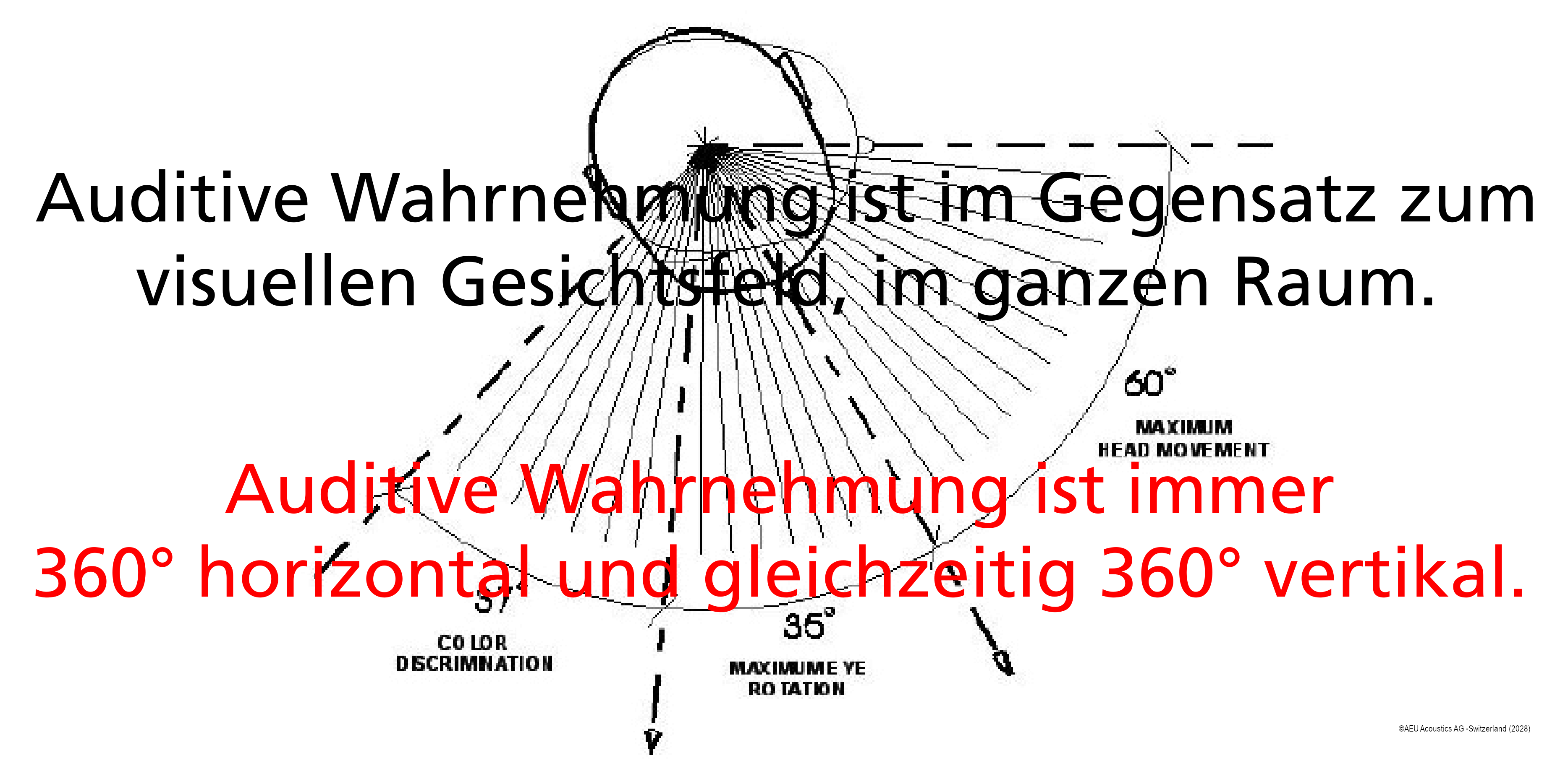 Auditive Wahnehmung im Gegensatz zum visuellen Gesichtsfeld